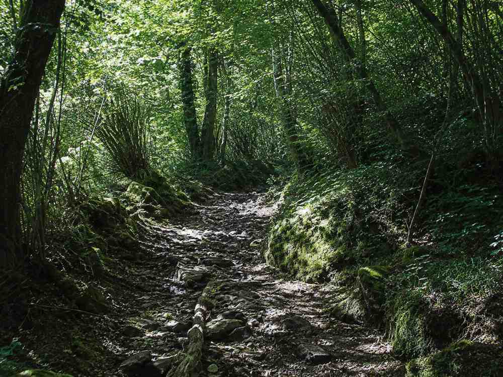 Excursionistes en un camí pirinenc a prop de Bossòst